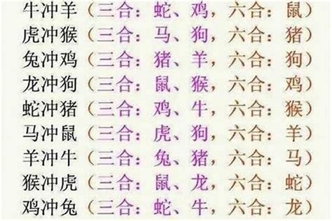 十二生肖六合|《易经》十二生肖三合、六合解析！